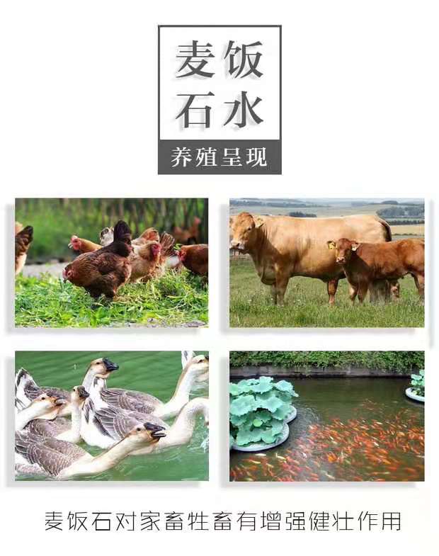 2019_沈陽凈水設(shè)備_新款推出