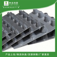 排水板的優(yōu)勢(shì)和性能