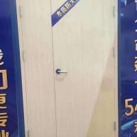 木質(zhì)防火門，河北防火門,生產(chǎn)防火門，閬閬防火門