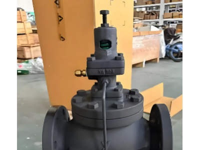 阿姆斯壯Armstrong蒸汽減壓閥 上海